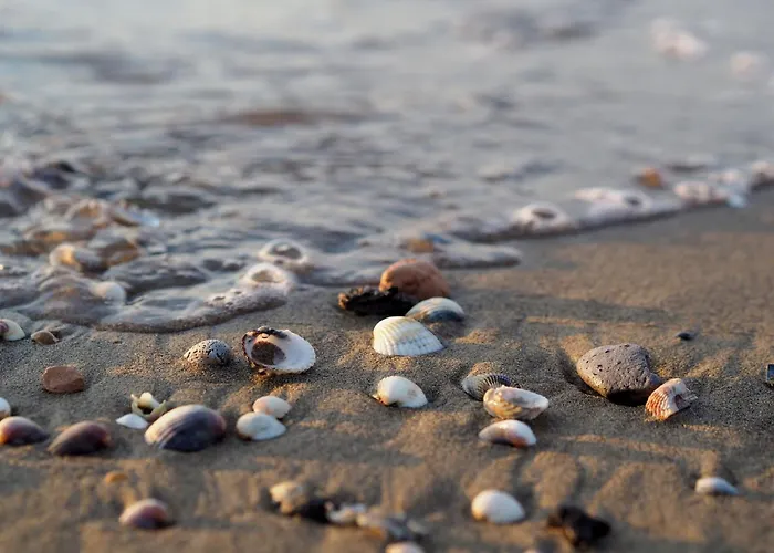 아파트 Colorful With Sea View 비비오네